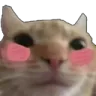 smakBlush