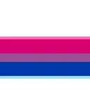 bi_flag
