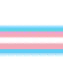 trans_flag