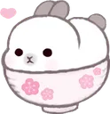 dbunnycup