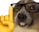 1_Nerd