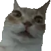 uhhh