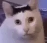 HUH