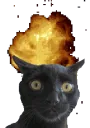 Catsplosion2