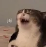 jaaa jaaa