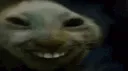 xdxKiss
