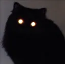 Demoncat demoncat Discord Emoji