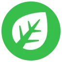 grass