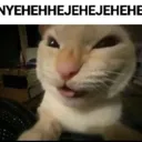 nyehehe