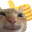 Thumbs Up Cat thumbsupcat Discord Emoji