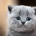 emotional