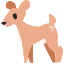 doe