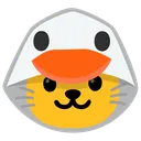 cat_duck
