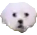 HUH