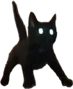 CatJumpscare