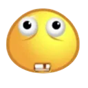 erm