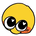 hihi