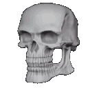 skullsmile Discord Emoji