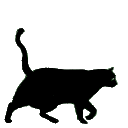 Blackcat BlackCat Discord Emoji