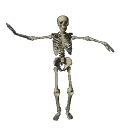 skeleton