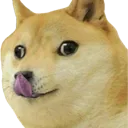 dogeBlep
