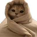 Comfy