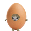 categg Discord emoji