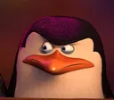 1_Skipper