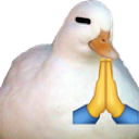 cb_duck_pray Discord emoji