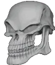 skull2 skull2
