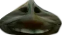 xddgarlic xddgarlic