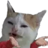 sir sir