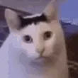 Huh