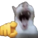 gagagagaga