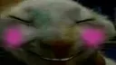 xddshy
