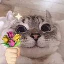 Cat Flowers Discord Emoji
