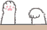 paws