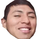 pulga