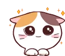 meongcat8