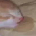 theeeper