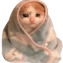 Comfy Cat comfycat Discord Emoji