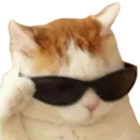 Catcool catcool Discord Emoji
