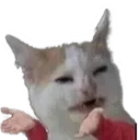 CatYe Discord Emoji