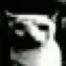 DespairCat
