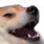 Dogekek dogekek Discord Emoji