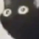 ohno ohno