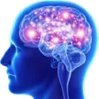 BigBrain