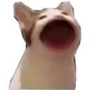 emoji_62
