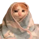 emoji_66