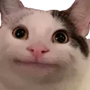 emoji_67